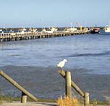 Seaview Motel and Holiday Units - Accommodation Rockhampton