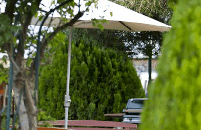 Beechworth Carriage Motor Inn - Accommodation Rockhampton 3