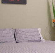 Stingo Hotel - Accommodation Rockhampton