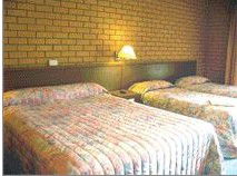 Bega Village Motor Inn - Accommodation Rockhampton 3