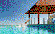 Seashells Resort Mandurah - thumb 0