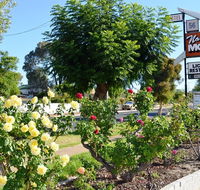Narrogin Motel - Accommodation Rockhampton