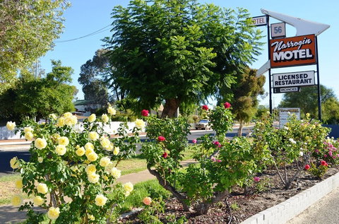 Narrogin Motel - Accommodation Rockhampton 0
