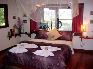 Daintree Cloud 9 - Accommodation Rockhampton 0