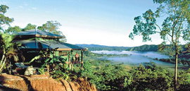 Daintree Cloud 9 - Accommodation Rockhampton 1