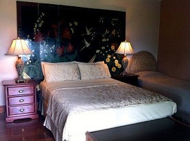 Daintree Manor - Accommodation Rockhampton 0
