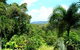 Daintree Manor - thumb 3