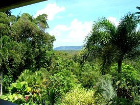 Daintree Manor - Accommodation Rockhampton 3