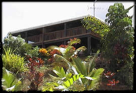Daintree Manor - Accommodation Rockhampton 5