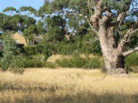 Springton SA Accommodation Rockhampton