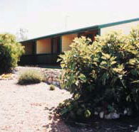 The Fig Tree Bed  Breakfast