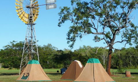 Litchfield Tourist Park - Accommodation Rockhampton 2