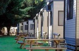 Moonta Bay Caravan Park Cabins - Accommodation Rockhampton 1
