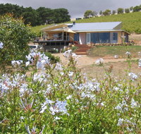 The Blue Grape Vineyard Accommodation - Accommodation Rockhampton
