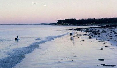 Loverings Beach House - D'estrees Bay - Accommodation Rockhampton 0