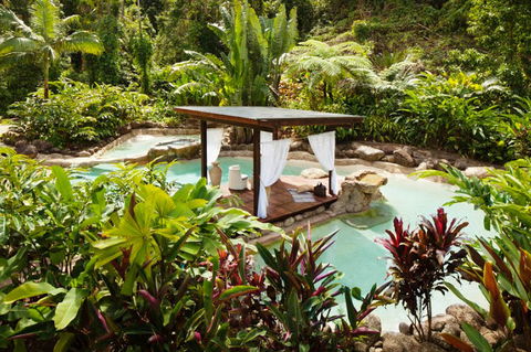 Misty Mountains Tropical Rainforest Romantic Retreat - Accommodation Rockhampton 3