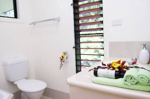 Misty Mountains Tropical Rainforest Romantic Retreat - Accommodation Rockhampton 5