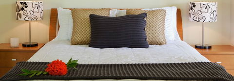 Misty Mountains Tropical Rainforest Romantic Retreat - Accommodation Rockhampton 7