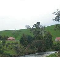 Tin Dragon Trail Cottages - Accommodation Rockhampton