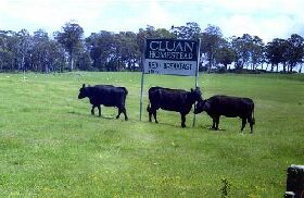 Cluan Homestead - The Managers Residence - Accommodation Rockhampton 0