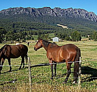 Hurlfield Farm Cottage - Accommodation Rockhampton