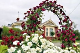 Golden Embers Apartments And B And B - Accommodation Rockhampton 0