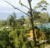 Partridge Farm - Accommodation Rockhampton