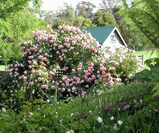 Conmel Cottage - Accommodation Rockhampton 2