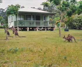 Berringer Lake Holiday Cottages - Accommodation Rockhampton 0