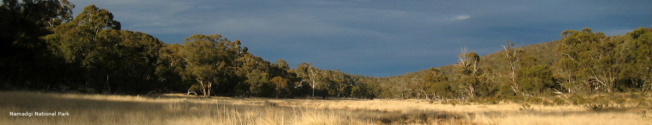 Tharwa ACT Accommodation Rockhampton