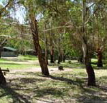 Woods Reserve - Accommodation Rockhampton