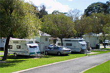 Pleasurelea Tourist Resort And Caravan Park - Accommodation Rockhampton 1