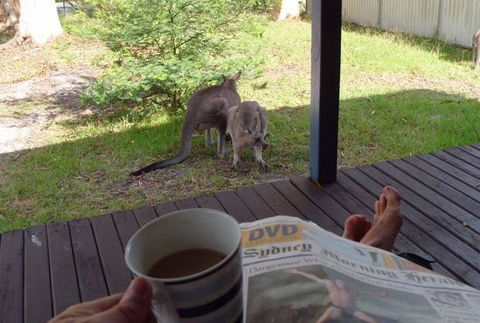 Bush And Bay Cottage - Accommodation Rockhampton 0