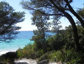 Booderee National Park: Bristol Point Camping Area - Accommodation Rockhampton 2