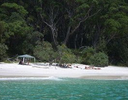 Booderee National Park: Bristol Point Camping Area - Accommodation Rockhampton 3