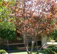 Akame - Accommodation Rockhampton
