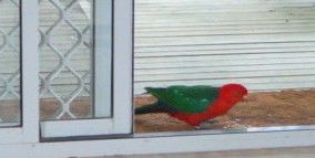 Azalea Cottage - Accommodation Rockhampton 5