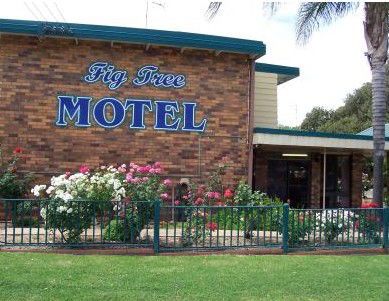 Fig Tree Motel - Accommodation Rockhampton 0