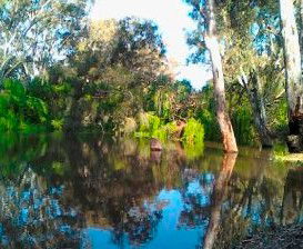 Wanganella Creek Camp Park - Accommodation Rockhampton 1