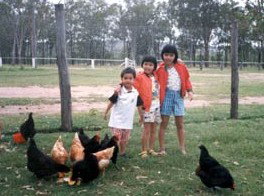 Minmore Farmstay Bed And Breakfast - Accommodation Rockhampton 1