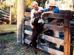 Minmore Farmstay Bed And Breakfast - Accommodation Rockhampton 2