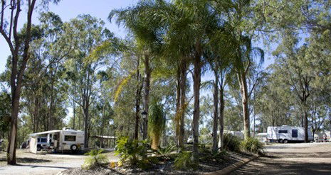 Barambah Bush Caravan Park - Accommodation Rockhampton 1