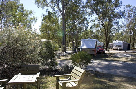 Barambah Bush Caravan Park - Accommodation Rockhampton 3