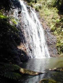 Beechmont QLD Accommodation Rockhampton