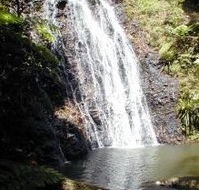 Binna Burra Mountain Lodge - Accommodation Rockhampton
