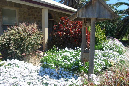 Weelaway On Gregory - Accommodation Rockhampton 1