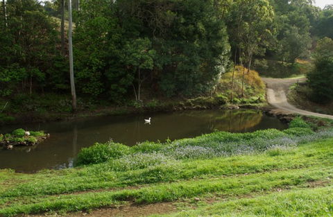 Wattle Gully Retreat - Accommodation Rockhampton 4