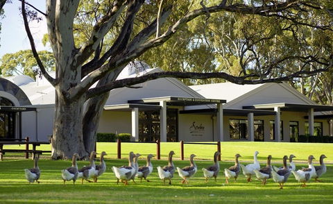 Serafino McLaren Vale - Accommodation Rockhampton 0