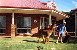  Accommodation Rockhampton