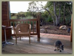Kangaroo Island Wilderness Resort - Accommodation Rockhampton 1